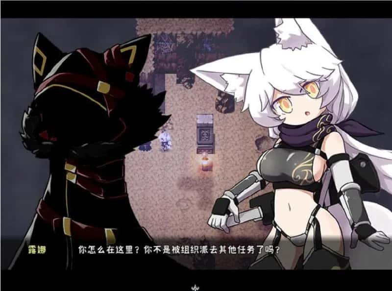 暗影之狼/影之狼 Wolf of Shadow游戏封面